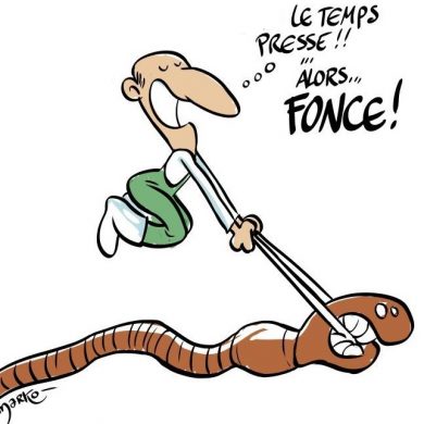 compost et ver de terre