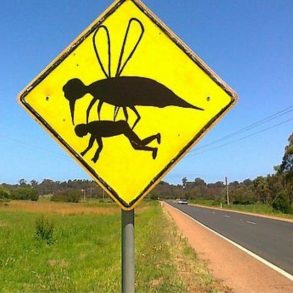 parasites réchauffement