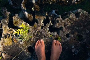 conscious quitting