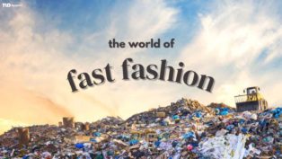 fast fashion écologie