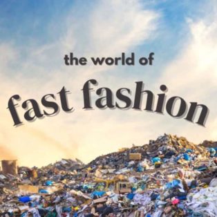 fast fashion écologie