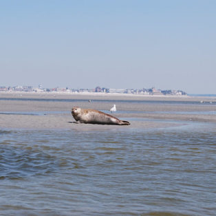 week-end sans voiture baie de somme