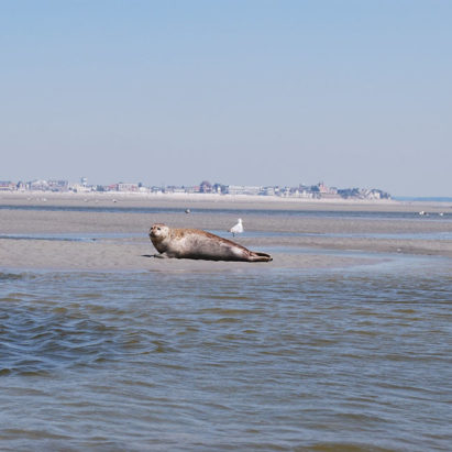 week-end sans voiture baie de somme