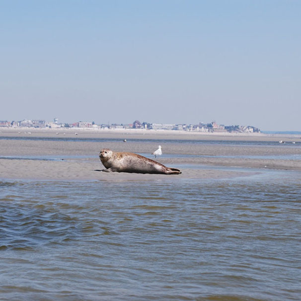 week-end sans voiture baie de somme